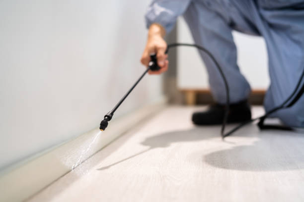 Licensed Pest Control service in Sabina, OH - Show Me Pest Control